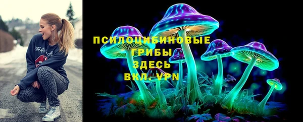 шишки Богородицк